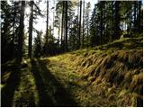 Planica (Planinšek) - Planina Podvežak